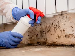 Best Biohazard Mold Removal  in Los Fresnos, TX